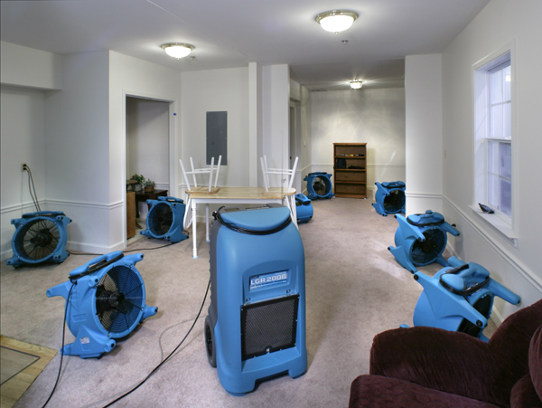 Best Odor Removal Service in Los Angeles