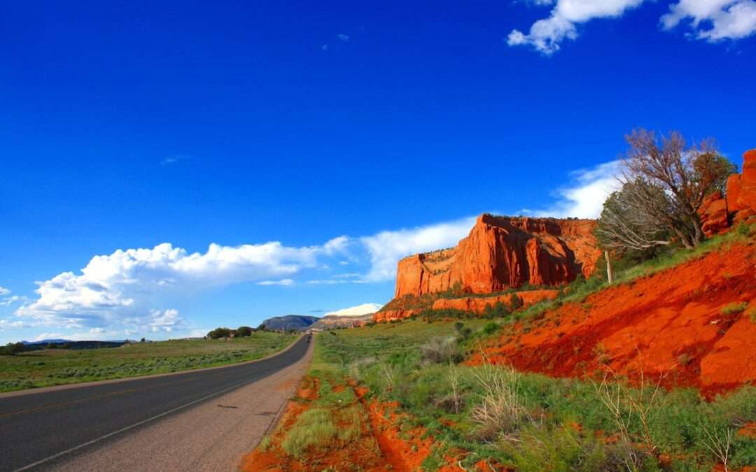 Is Biohazard Cleanup Required by Law in Arizona, and What Local Regulations Apply?