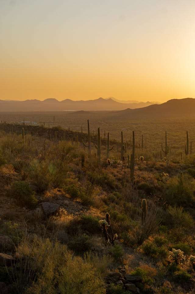 bakersfield crime scene cleaners